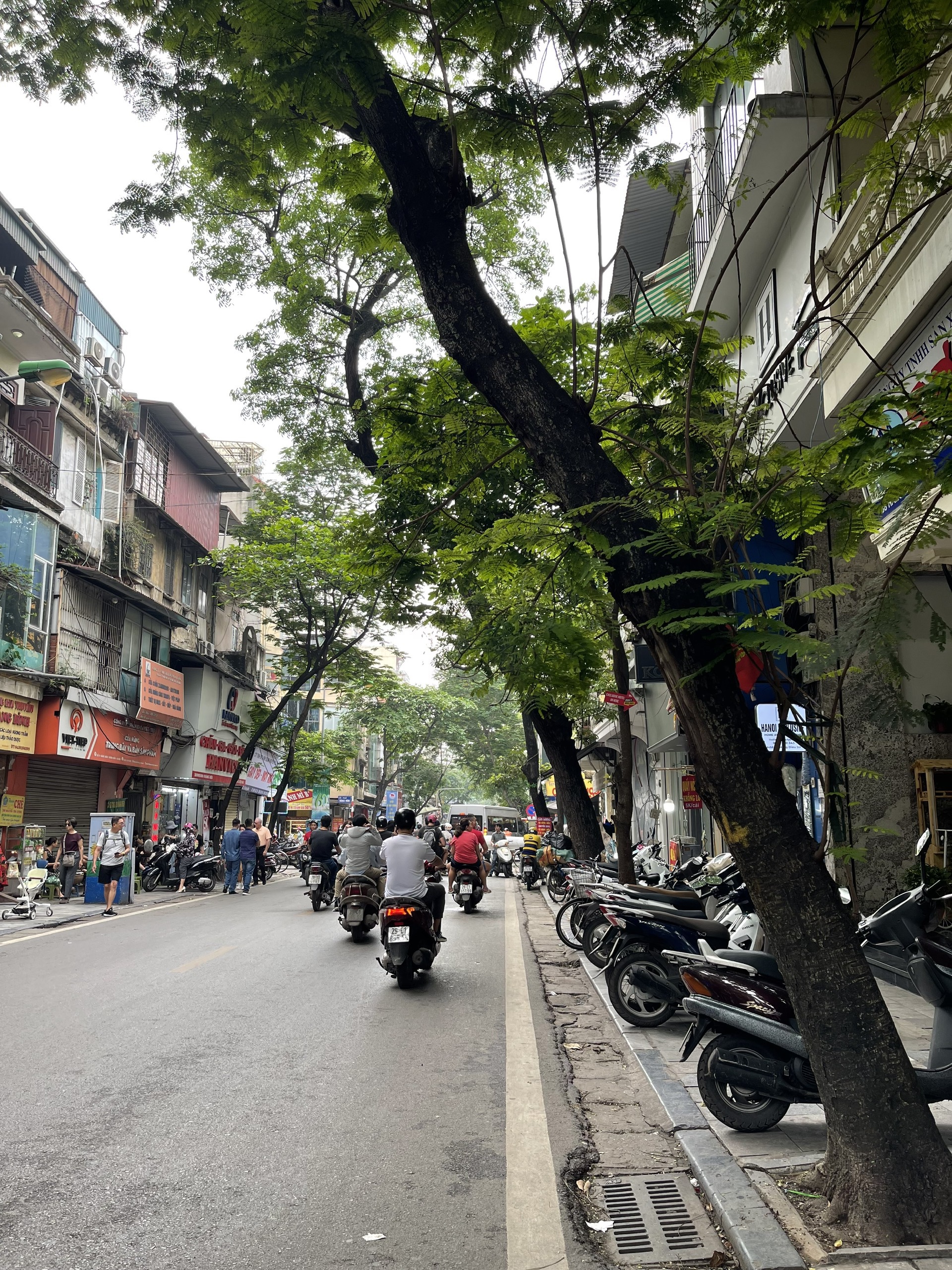 (Giảm ~3 tỷ) Bán nhà KINH DOANH mặt phố phố cổ trung tâm Hoàn Kiếm, 88m2, mặt tiền rộng, 79 tỷ