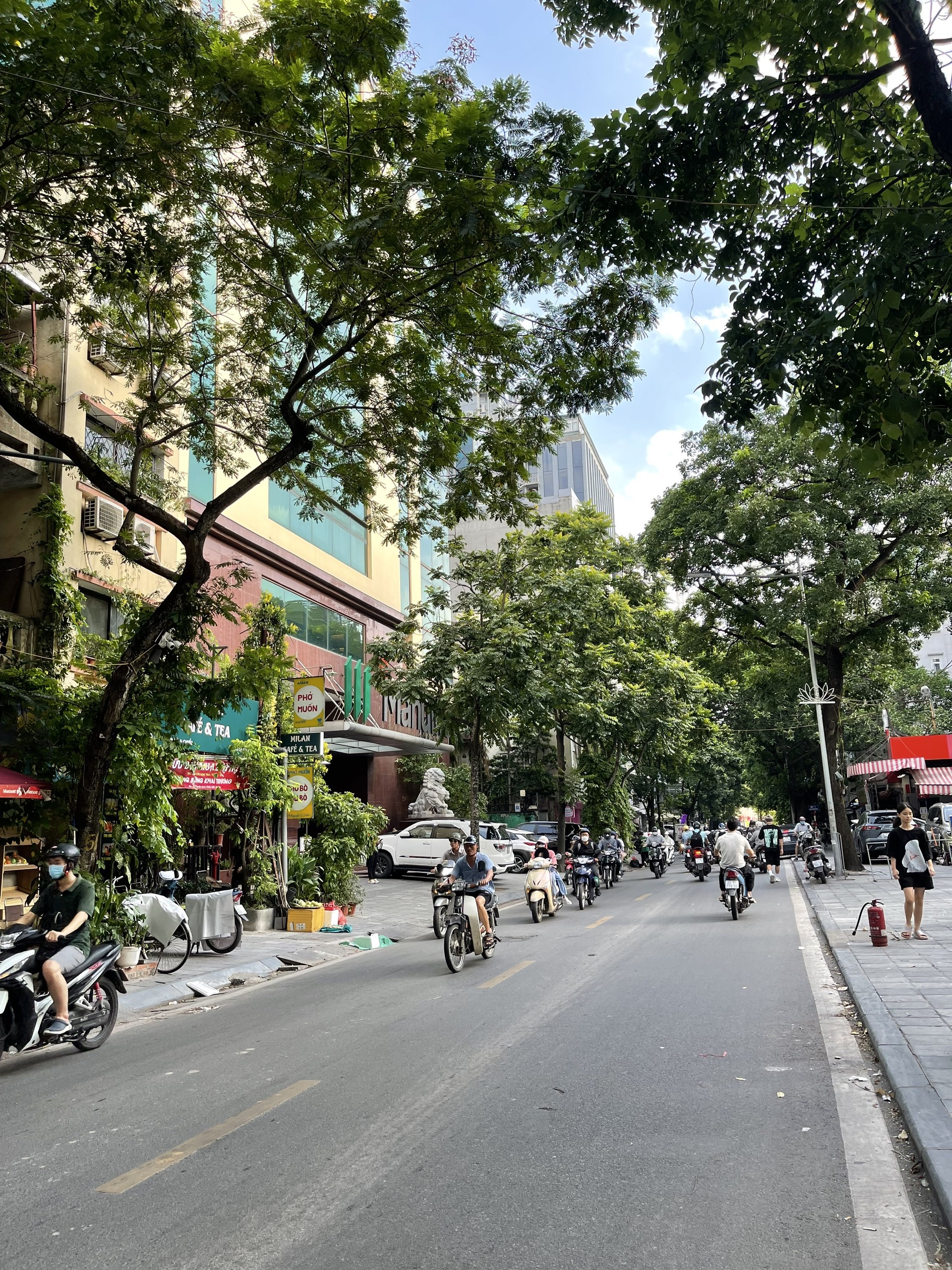 (HIẾM) (Giảm 5 tỷ) Bán tòa nhà mặt phố Nguyễn Đình Chiểu - Hai Bà Trưng, 100m2 x 7 tầng, MT 8m, 74 tỷ