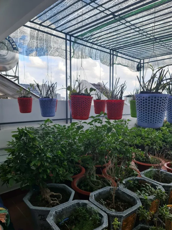 Bán nhà hẻm 111/4/ Vườn Lài Quận Tân Phú shr đường xe hơi 5m giá 9,9 tỷ