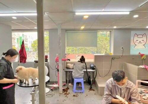 SANG PET SHOP ĐANG HOẠT ĐỘNG TỐT, LƯỢNG KHÁCH ỔN ĐỊNH, KHU TRUNG TÂM KINH DOANH SẦM UẤT QUẬN 6 , HCM
