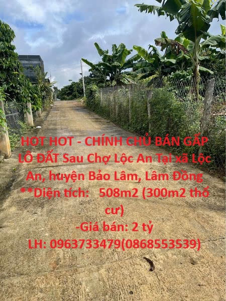HOT HOT - CHÍNH CHỦ BÁN GẤP LÔ ĐẤT Sau Chợ Lộc An Tại xã Lộc An, huyện Bảo Lâm, Lâm Đồng