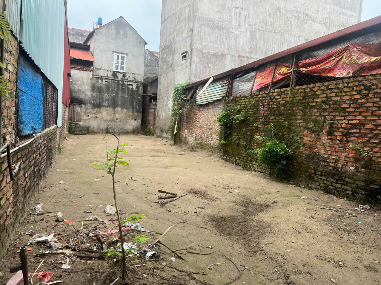 BÃO YAGI MAI ĐỘNG HƯƠNG MẠC TỪ SƠN BẮC NINH Dt : 116m mt : 5mchỉ có 7xx Hàng xóm thân thiện dân cư đông đúc l