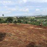  450m2 - 5