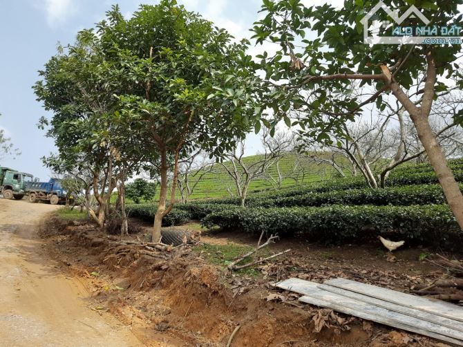 CHỈ 4 TỶ SỞ HỮU LIỀN KỀ, BIỆT THỰ TRUNG TÂM CHỢ DU LỊCH 12 DÂN TỘC MỘC CHÂU - GIÁ CỰC TỐT CHO CÁC NHÀ ĐẦU TƯ