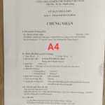  1m2 - 4