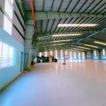  6000m2 - 4