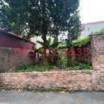  95m2 - 1