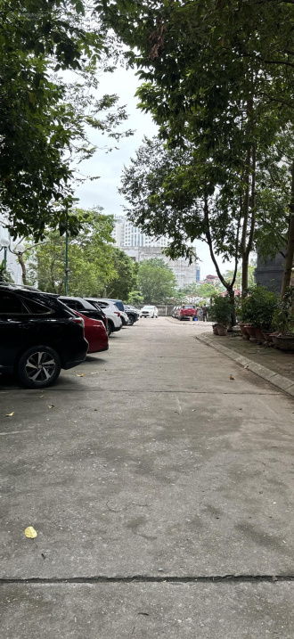 Bán Nhà Hoàng Quốc Việt - 95m x MT 8m - Ô Tô - Vỉa hè - An Sinh