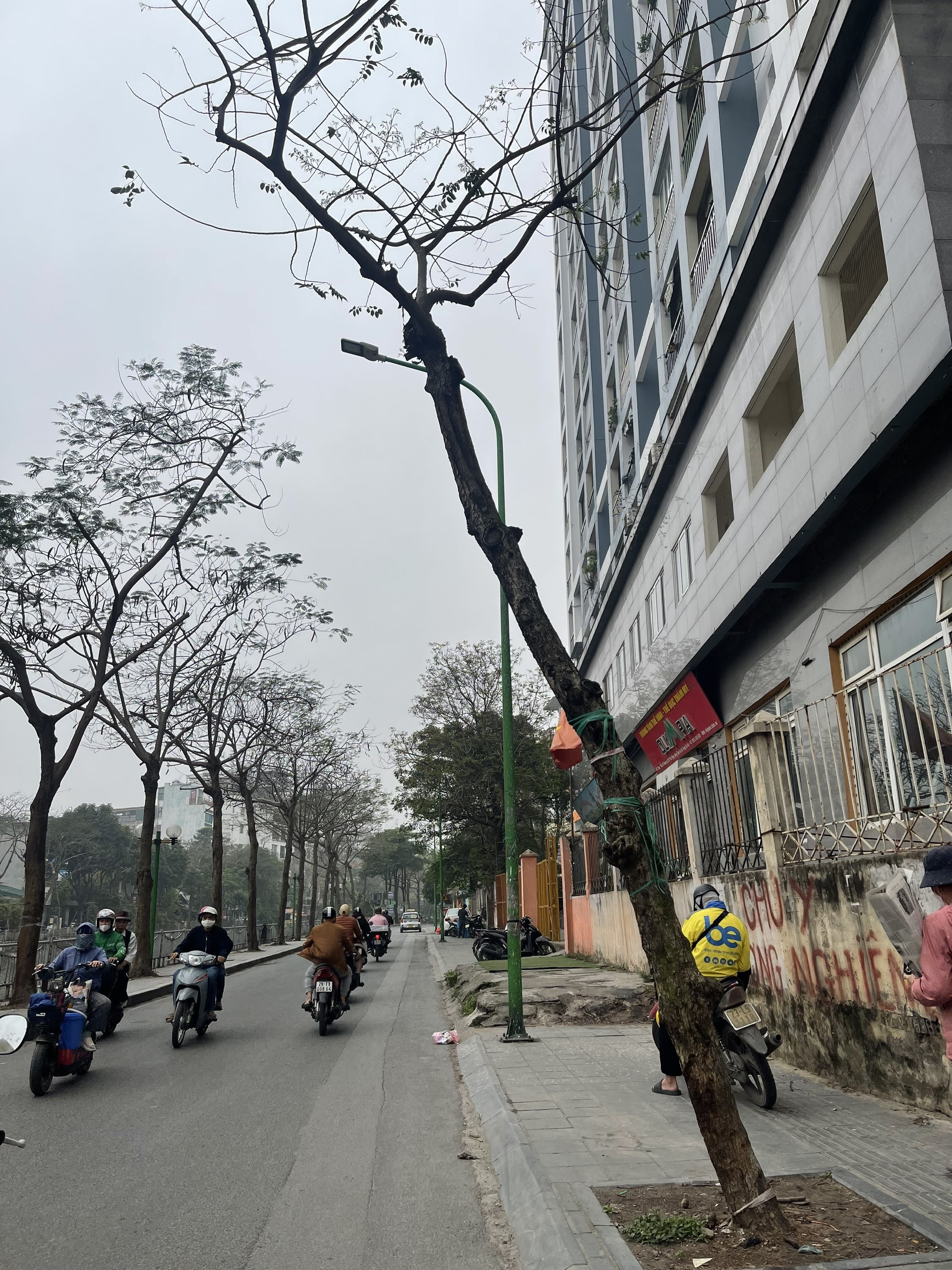 Bán GẤP nhà KINH DOANH mặt phố bở sông Set - Hai Bà Trưng, 2 thoáng, VỈA HÈ, 160m2, mặt tiền rộng, 48 tỷ