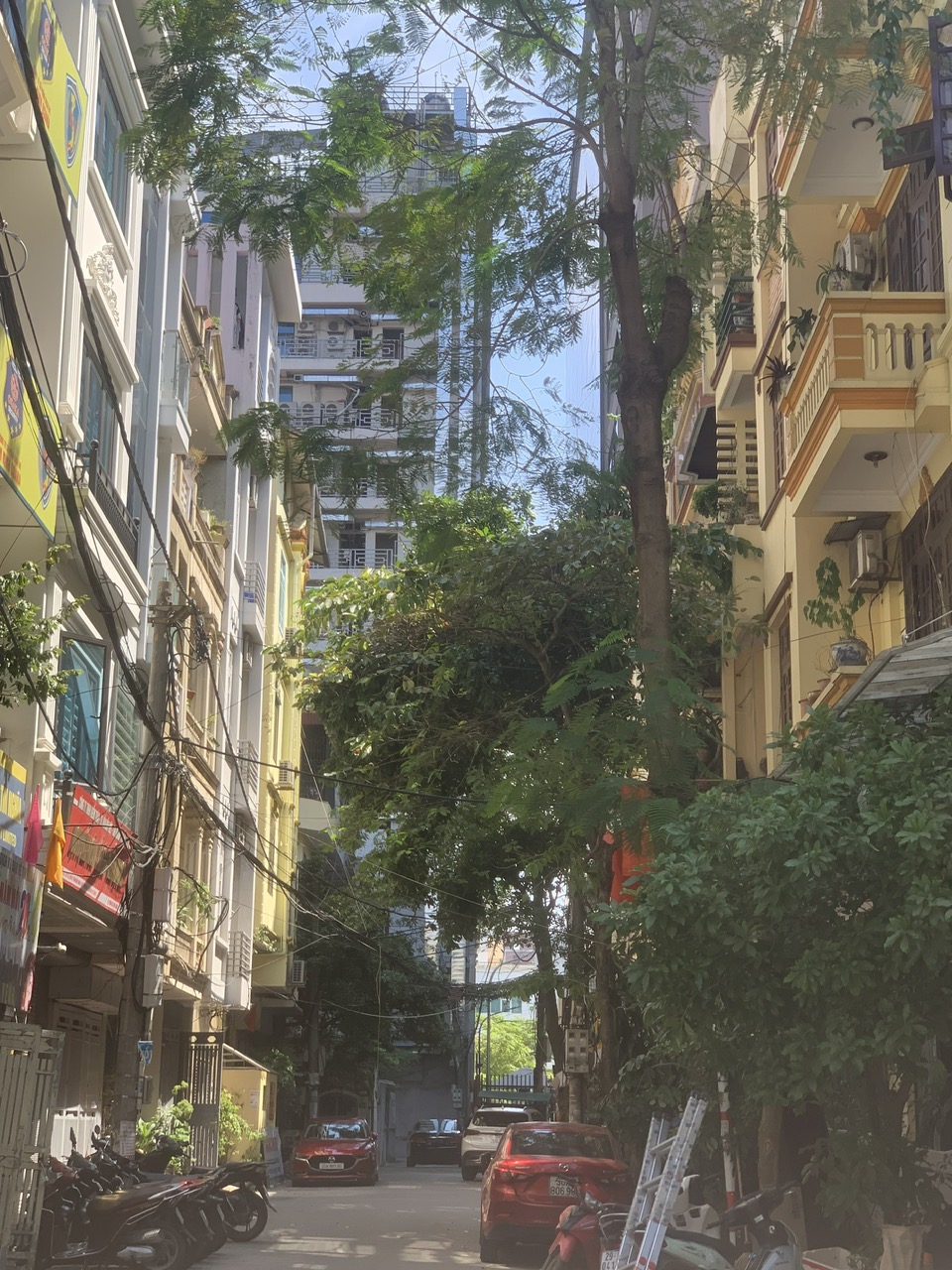 Bán nhà phố Nguyễn Phong Sắc Cầu Giấy Hà Nội 40m, Ôtô, Kinh Doanh, 11tỷ 0979353468