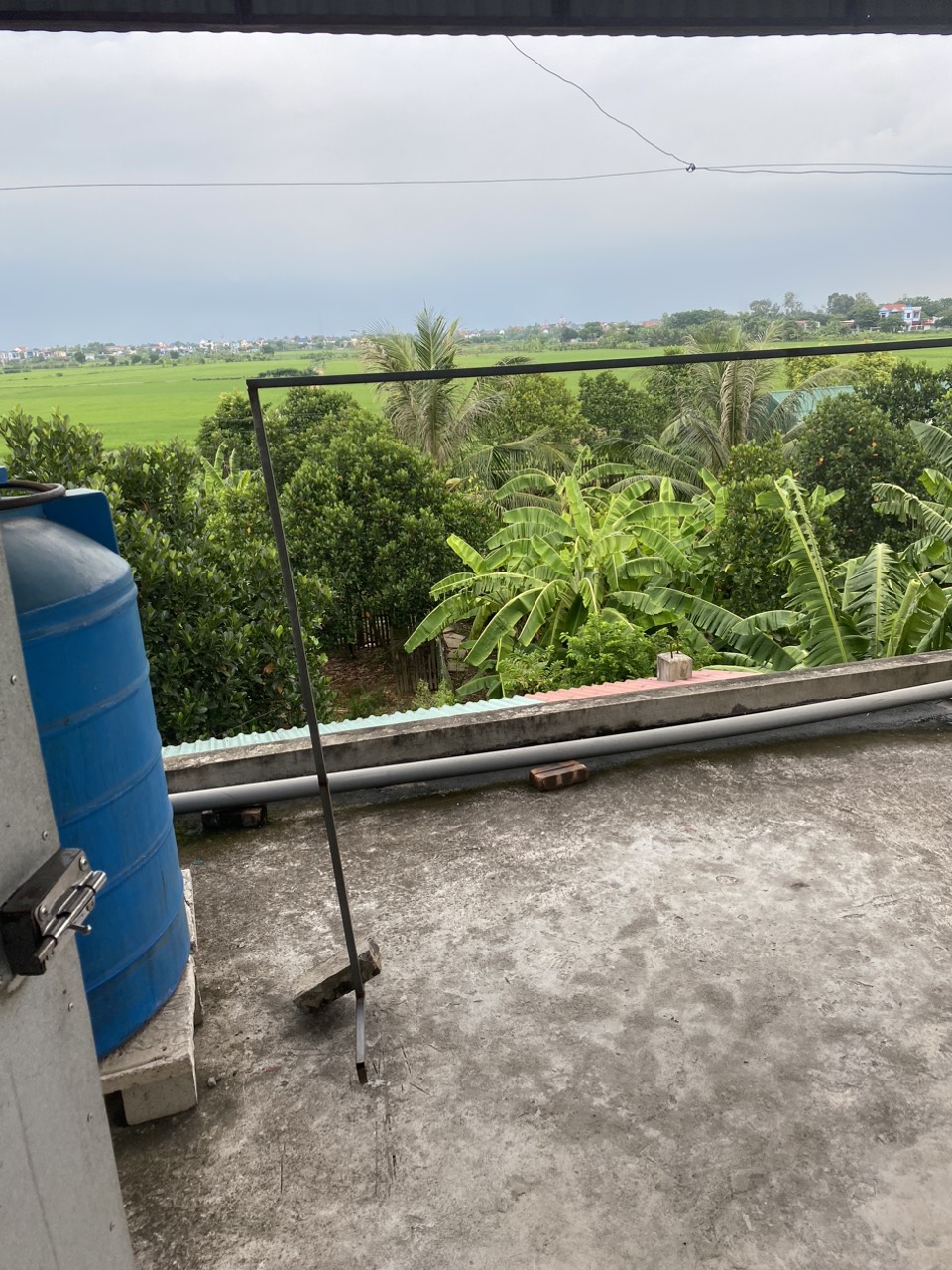 CẦN BÁN GẤP LÔ ĐẤT DIỆN TÍCH 130M, MẶT TIỀN 5M, TỔ 6 PHƯỜNG HOÀNG DIỆU, TP THÁI BÌNH, GIÁ CHỈ 30TR/M2 ĐÃ SỞ HỮU LÔ ĐẤT