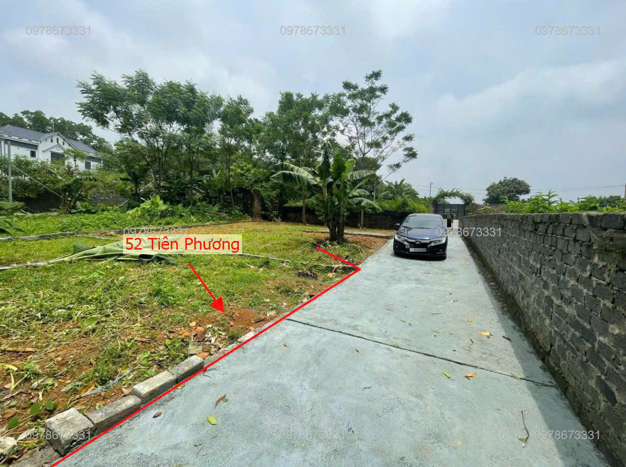 SIÊU PHẨM TẠI ĐỒI HỌA SỸ TIÊN PHƯƠNG-CHƯƠNG MỸ-HN D/T:52M