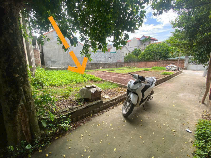 SIÊU PHẨM GIÁ ĐẦU TƯ TẠI THỤY HƯƠNG-CHƯƠNG MỸ-HÀ NỘI