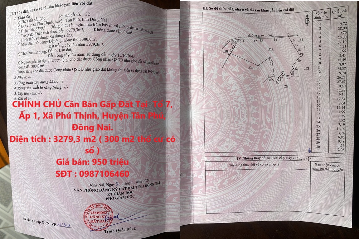 CHÍNH CHỦ Cần Bán Gấp Đất Tại Tổ 7, Ấp 1, Xã Phú Thịnh, Huyện Tân Phú, Đồng Nai.