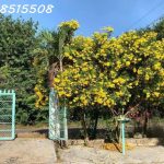  4000m2 - 5