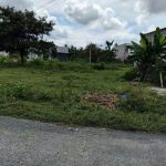  100m2 - 1