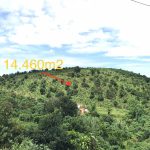  14460m2 - 1