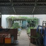  100m2 - 1