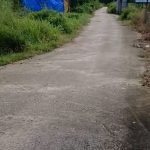  10000m2 - 4