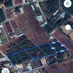  10000m2 - 1