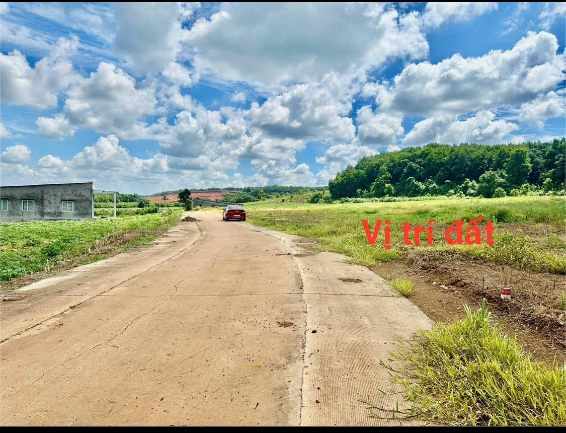 CHÍNH CHỦ CẦN BÁN LÔ ĐẤT ẤP THẠNH MÀNG - HUYỆN ĐỒNG PHÚ - TỈNH BÌNH PHƯỚC