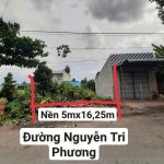  81m2 - 1