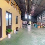  1000m2 - 1
