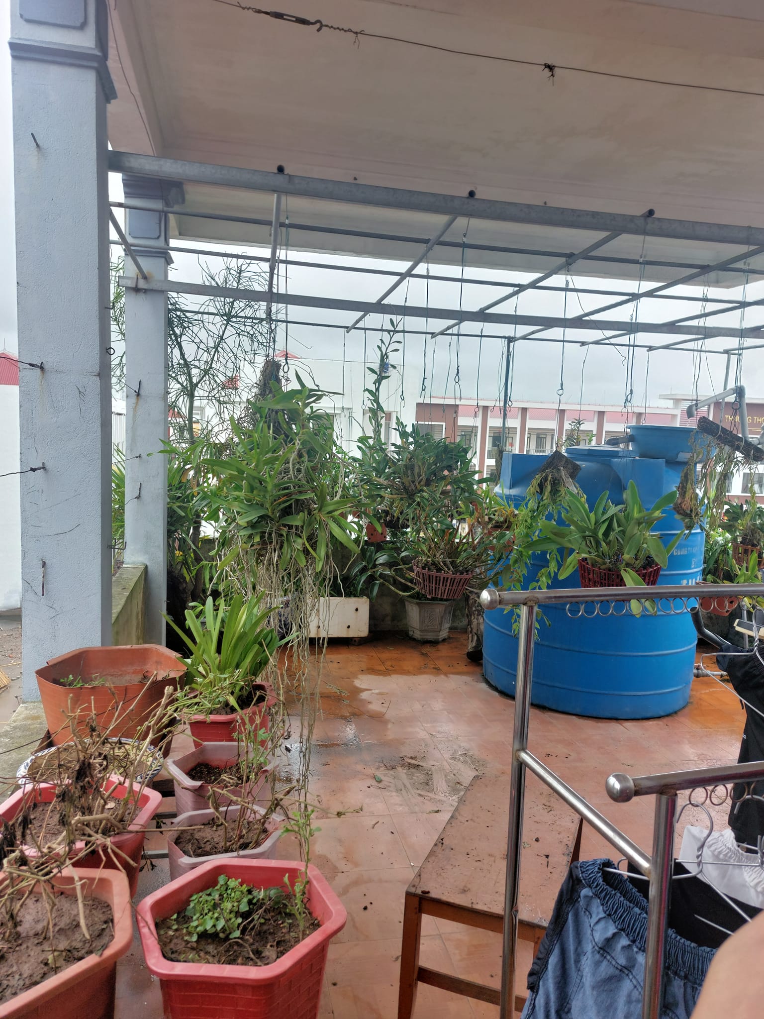 85m2