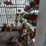  30m2 - 4