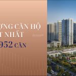  100m2 - 5