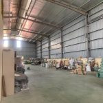  1000m2 - 4