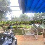  1500m2 - 6
