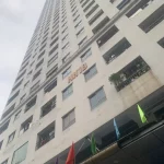  56m2 - 5