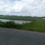  7000m2 - 3