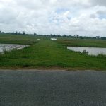  7000m2 - 1