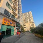  50m2 - 1