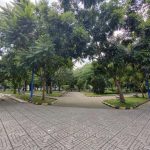  55m2 - 5