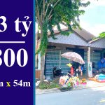  1000m2 - 1