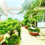  270m2 - 6