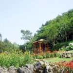  3500m2 - 3