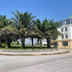  100m2 - 6