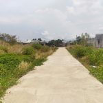  100m2 - 3