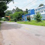  250m2 - 6
