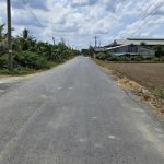  2900m2 - 1