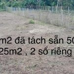 500m2 - 6