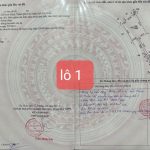  1159m2 - 5