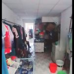  52m2 - 4