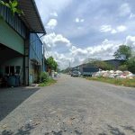  1000m2 - 5