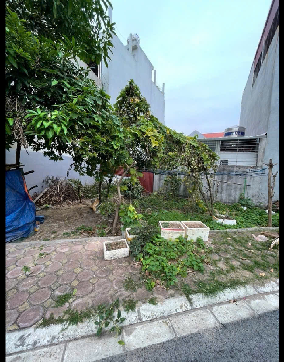 CẦN BÁN NHANH LÔ ĐẤT ĐẸP ĐƯỜNG DƯƠNG ĐỨC HIỀN - GIA LÂM - ĐƯỜNG CONTERNER TRÁNH - MẶT TIỀN 15M - !