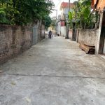  56m2 - 4